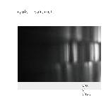 Ryuichi Sakamoto - Out Of Noise (2009)