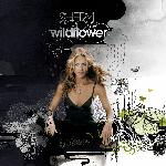 Sheryl Crow - Wildflower (2005)
