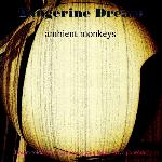 Tangerine Dream - Ambient Monkeys (1997)