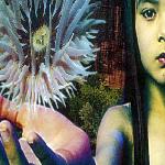 The Future Sound Of London - Lifeforms (1994)
