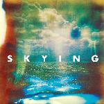 Skying (2011)