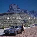 Your Wilderness (2016)