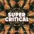 The Ting Tings - Super Critical (2014)