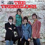Here Come The Tremeloes (1967)
